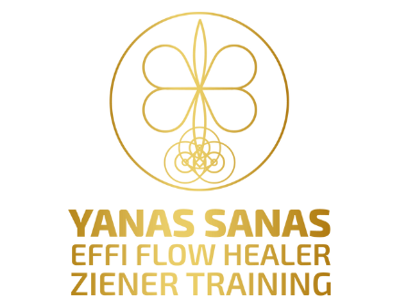 Effi Flow Healer Ziener Training