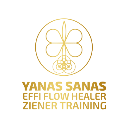 Effi Flow Healer Ziener Training